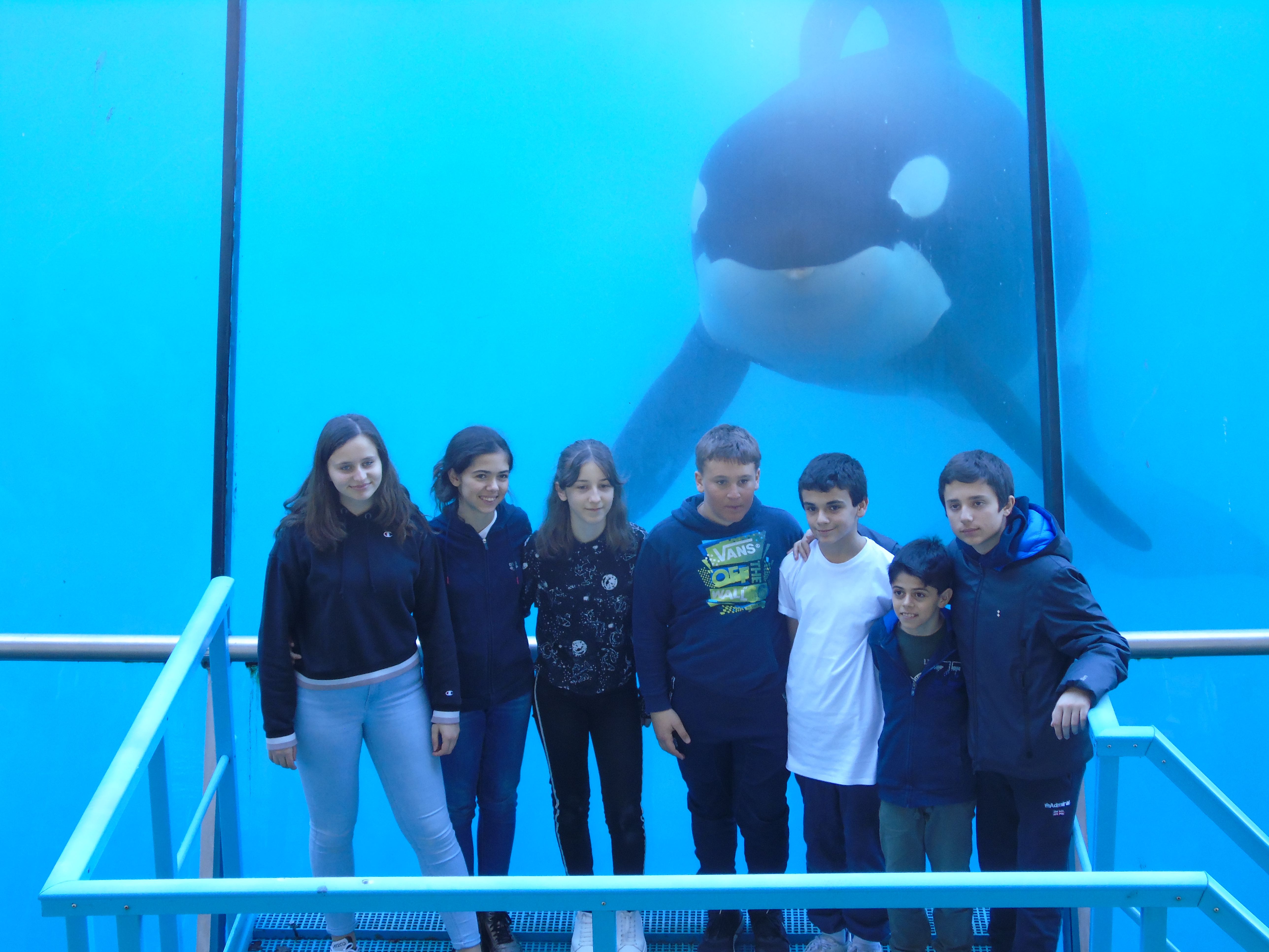 Marineland 2019